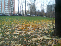 Sony Ericsson K800i ������ Nokia N93