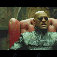 HP iPAQ hw6515 (240x240)