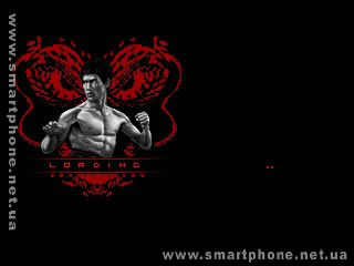 Bruce Lee � Iron First