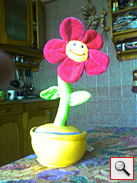 E-Ten X500 Glofiish: ����, ��������� ���������� �������