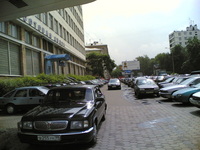 ���� ������