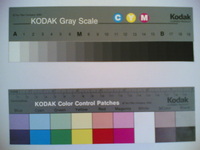 ���� ������