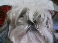 ���� ������