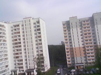 ���� ������