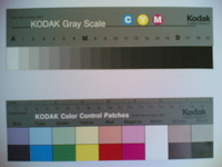 ���� ������