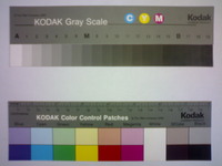 ���� �������� �������� Sony Ericsson W800