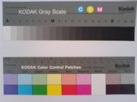 ���� �������� �������� Sony Ericsson W800