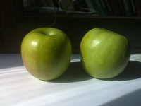 ������� ���� ���������� ������