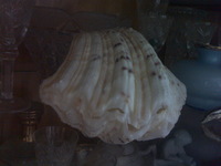 ������� ���� ���������� ������