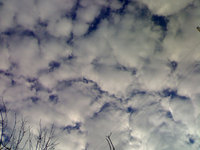 ����� Nokia N91