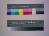 ����� ��������� Nokia E50